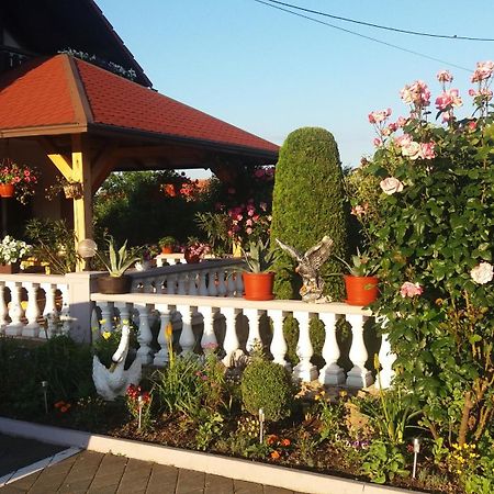 Guesthouse Tomas Čatrnja Εξωτερικό φωτογραφία