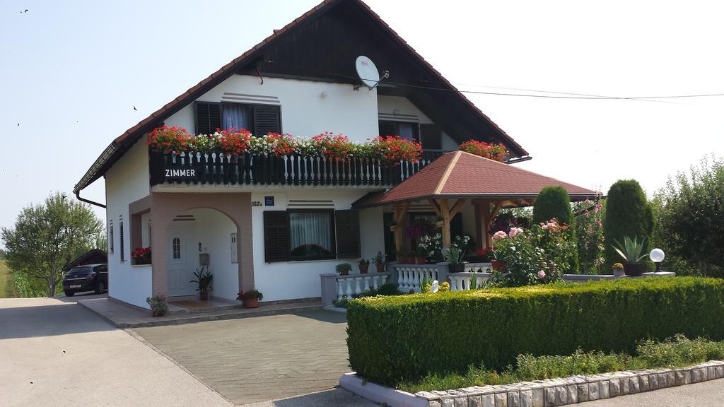 Guesthouse Tomas Čatrnja Εξωτερικό φωτογραφία