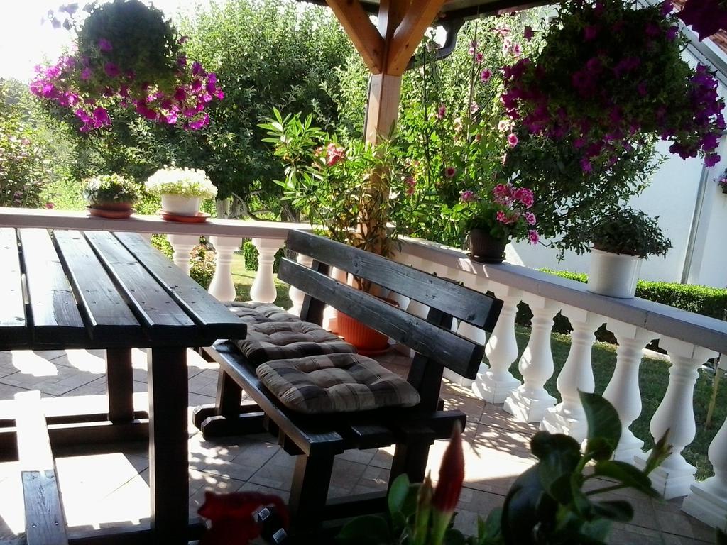 Guesthouse Tomas Čatrnja Εξωτερικό φωτογραφία