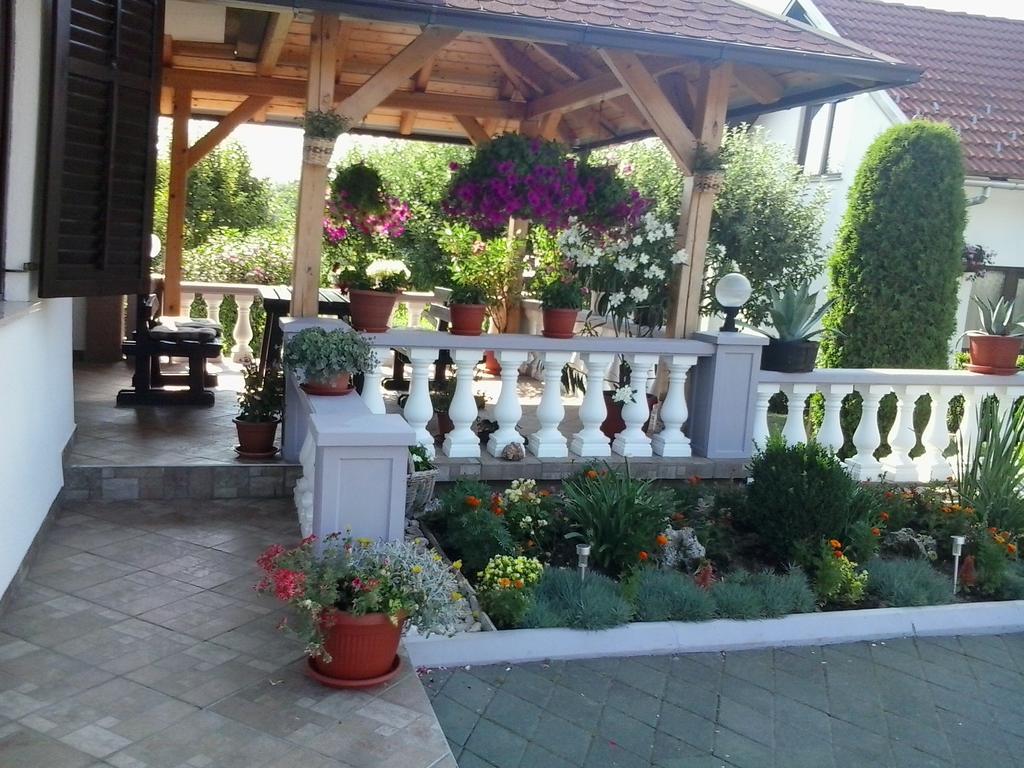 Guesthouse Tomas Čatrnja Εξωτερικό φωτογραφία