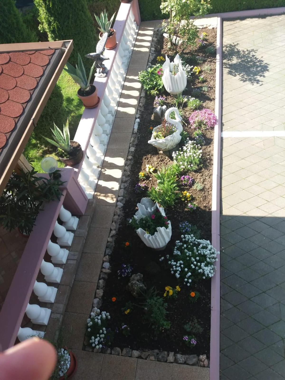 Guesthouse Tomas Čatrnja Εξωτερικό φωτογραφία