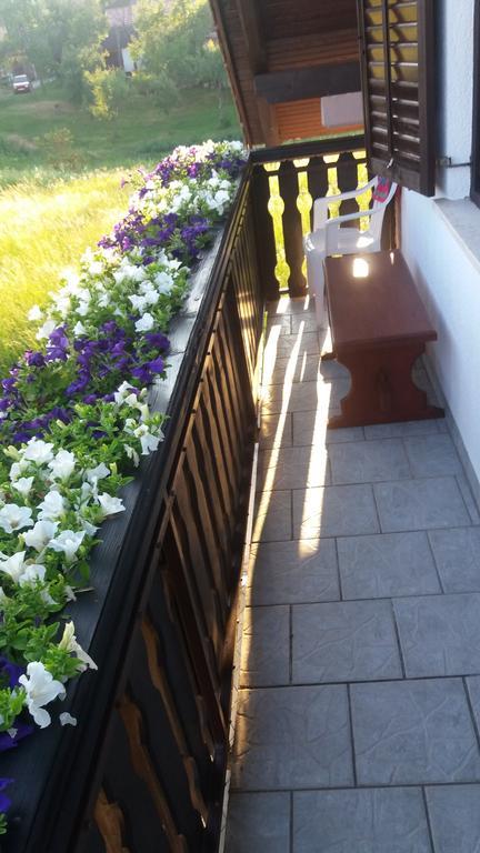 Guesthouse Tomas Čatrnja Εξωτερικό φωτογραφία