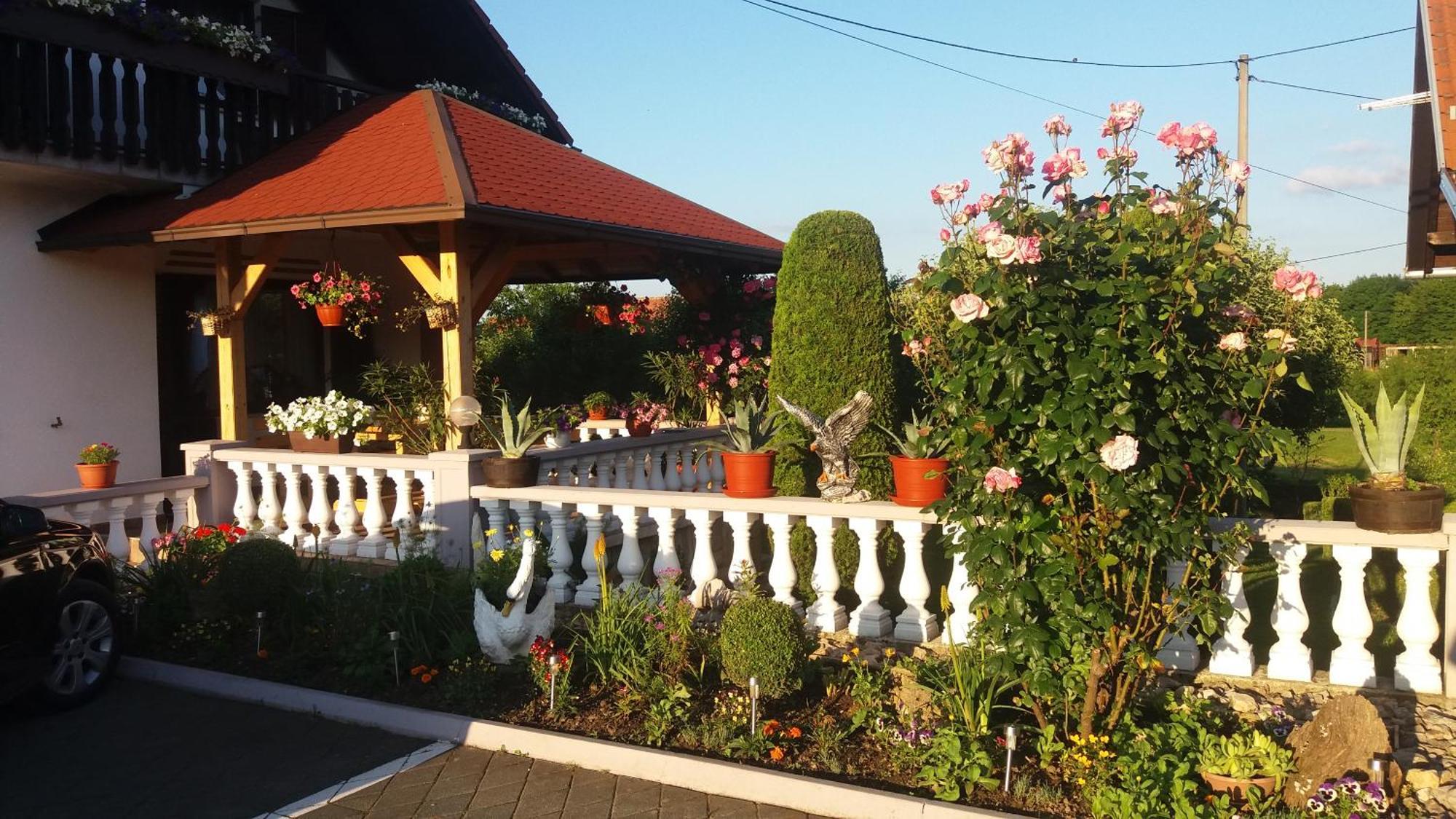 Guesthouse Tomas Čatrnja Εξωτερικό φωτογραφία