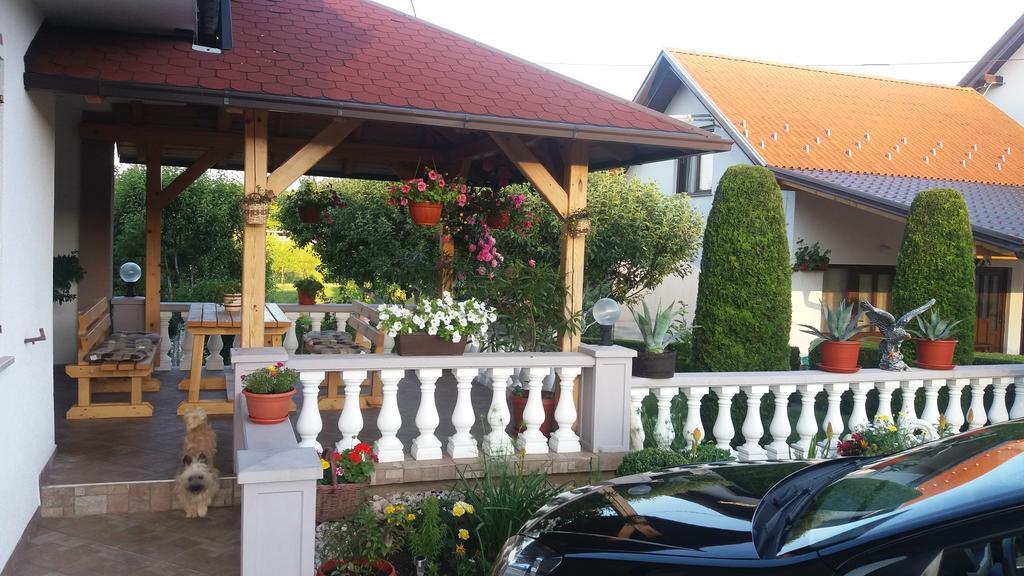 Guesthouse Tomas Čatrnja Εξωτερικό φωτογραφία