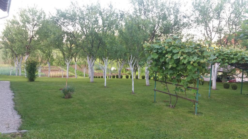 Guesthouse Tomas Čatrnja Εξωτερικό φωτογραφία