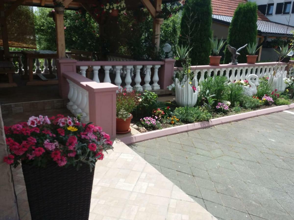 Guesthouse Tomas Čatrnja Εξωτερικό φωτογραφία