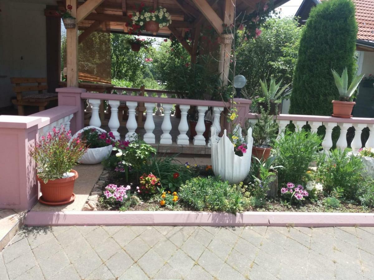 Guesthouse Tomas Čatrnja Εξωτερικό φωτογραφία